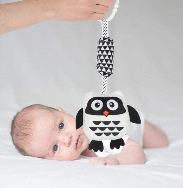 Kūdikio konstrastinis žaislas Pelėda