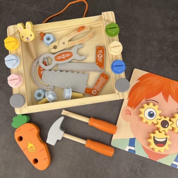 Meistro įrankių rinkinys dėžutėje