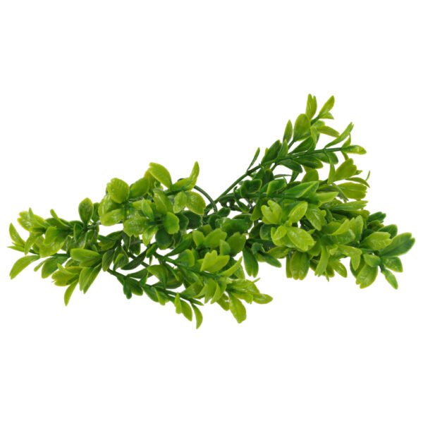 Kūrybinis rinkinys Namelis medyje