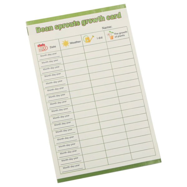 Kūrybinis rinkinys Namelis medyje