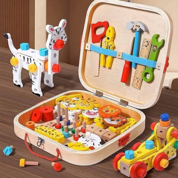 Meistro įrankių rinkinys lagaminėlyje (trūksta plaktuko)