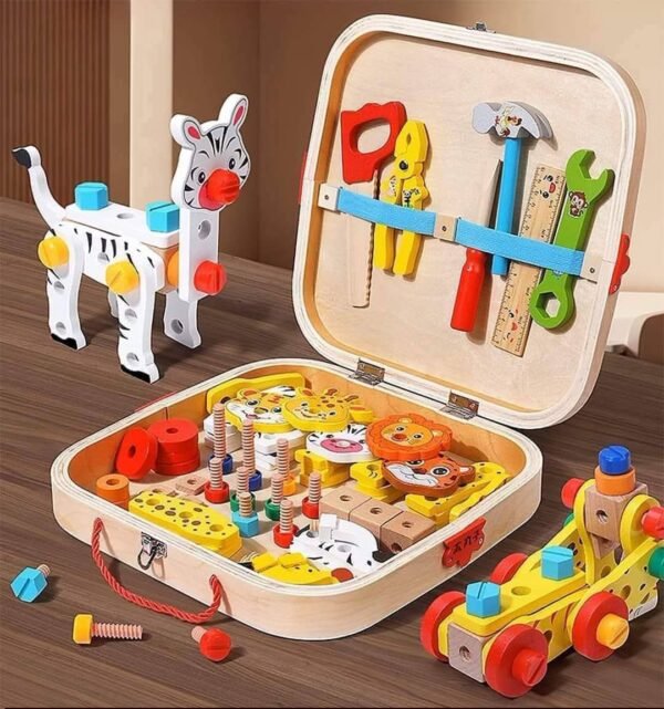 Meistro įrankių rinkinys lagaminėlyje (trūksta plaktuko)