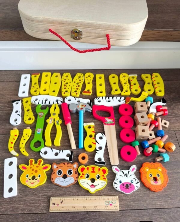 Meistro įrankių rinkinys lagaminėlyje (trūksta plaktuko)