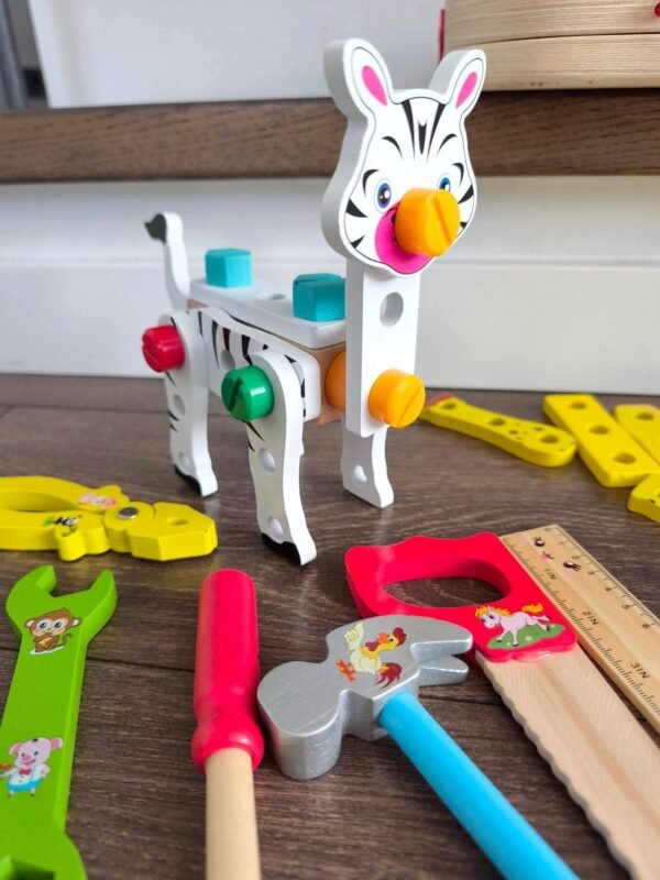 Meistro įrankių rinkinys lagaminėlyje (trūksta plaktuko)