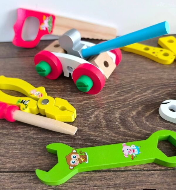 Meistro įrankių rinkinys lagaminėlyje (trūksta plaktuko)