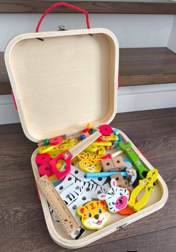 Meistro įrankių rinkinys lagaminėlyje (trūksta plaktuko)