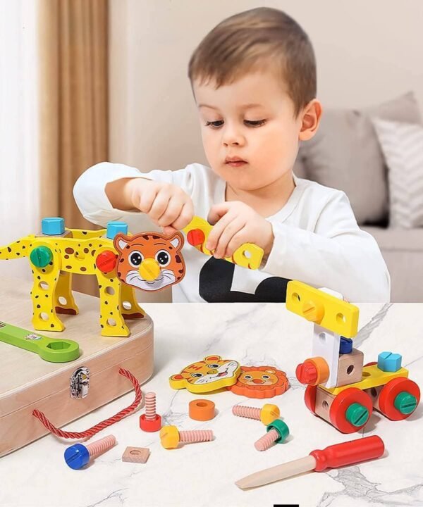 Meistro įrankių rinkinys lagaminėlyje (trūksta plaktuko)