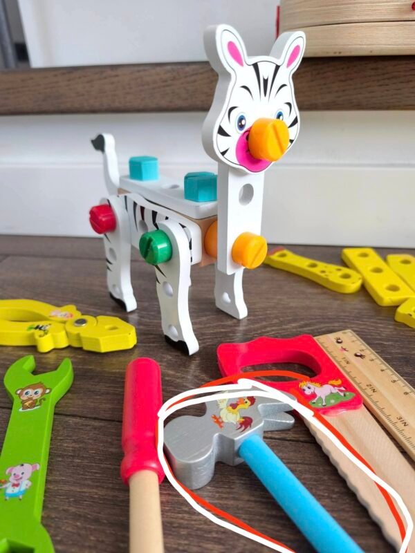 Meistro įrankių rinkinys lagaminėlyje (trūksta plaktuko)