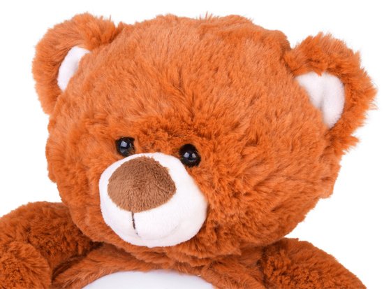 Pliušinis meškiukas su projektoriumi