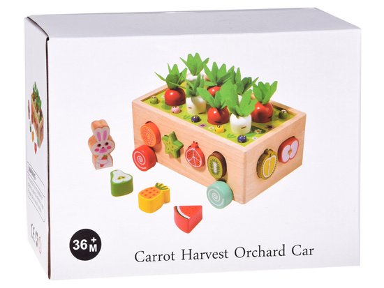 Medinė edukacinė rūšiuoklė