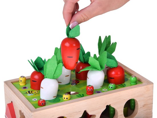 Medinė edukacinė rūšiuoklė